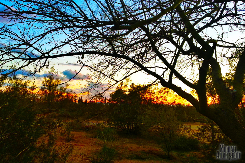 redbird-sunset